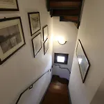 Ciciliana 3*
